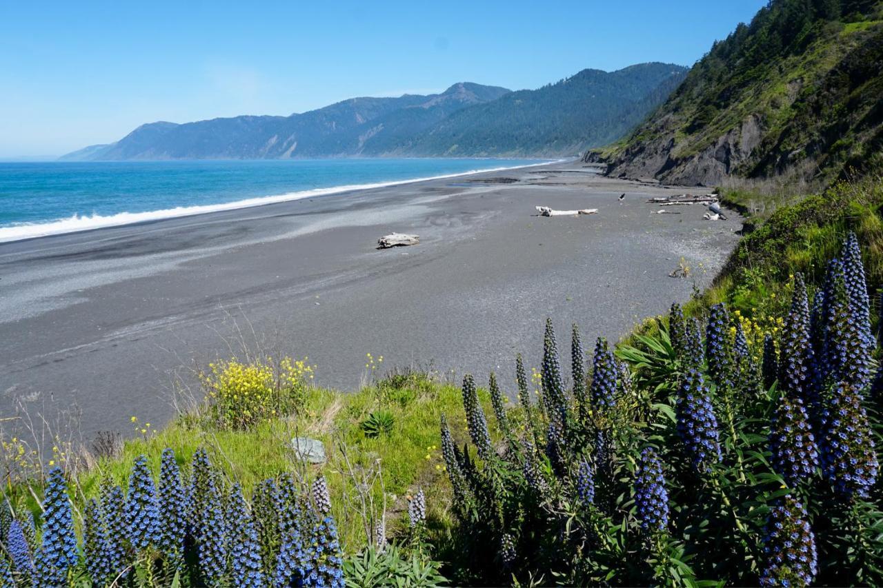 Lost Coast Hideaway Shelter Cove Luaran gambar